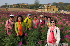 家翁的粗大炮：探索老一辈男性的性心理与生活