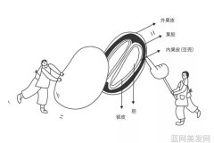 et航空-探索未来飞行的新篇章