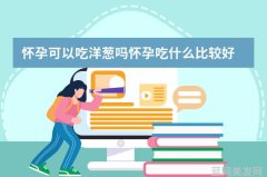 芷柔之梦：一段诗意般的浪漫之旅