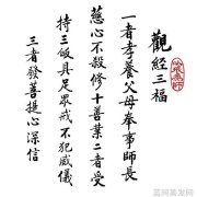 学习美发流程正确步骤全掌握