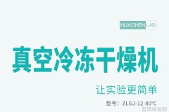 C到她乖黑暗森林小说笔趣阁：（神秘黑暗森林的